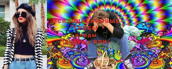 apvp Гусь-Хрустальный